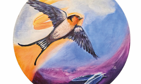 Fly into Freedom